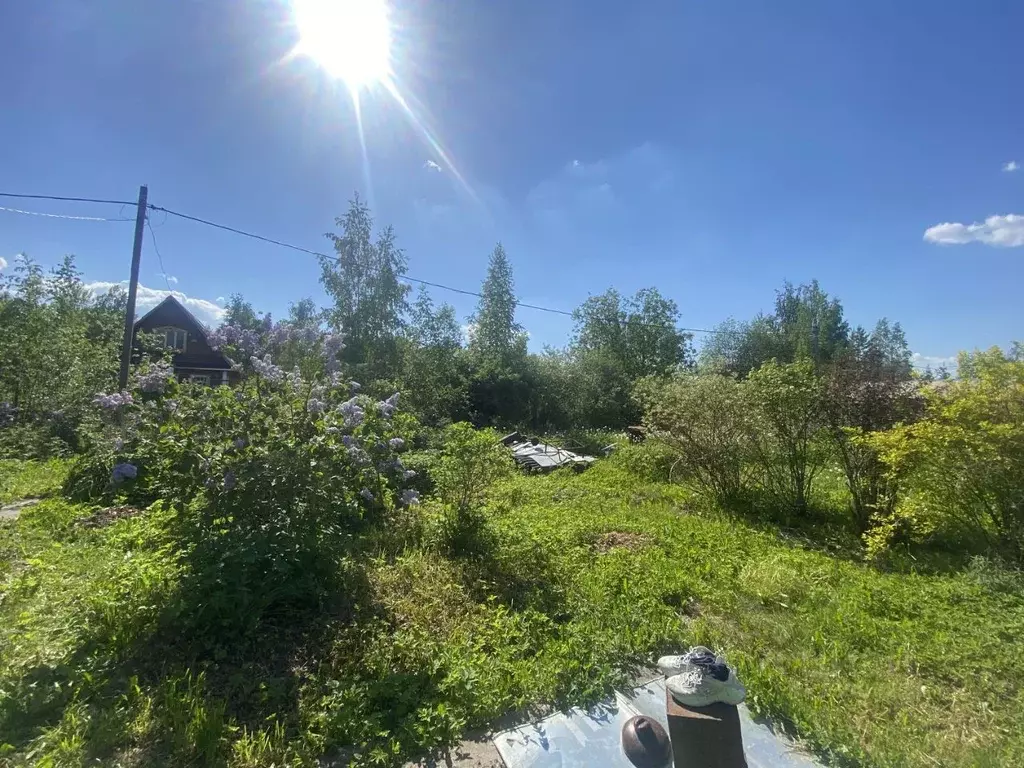 Участок в Санкт-Петербург, Санкт-Петербург, Павловск Контакт СНТ, ул. ... - Фото 0