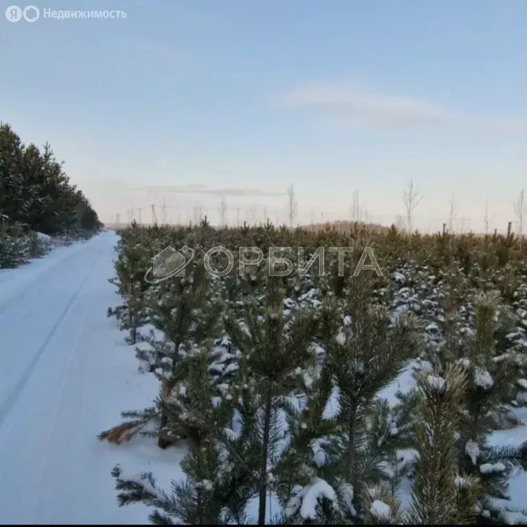 Участок в посёлок городского типа Тугулым, Сосновая улица (13.5 м) - Фото 0