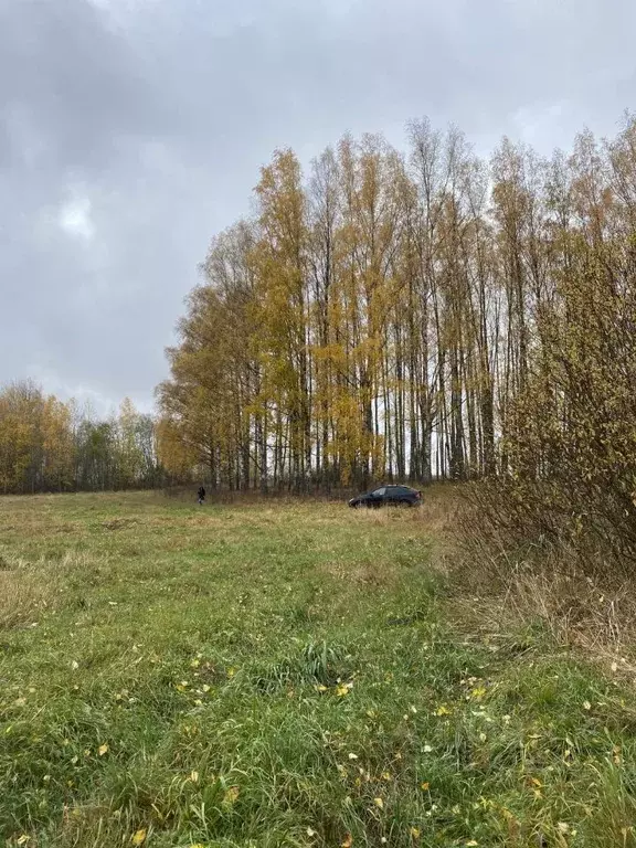 Дом в Смоленская область, Демидовский муниципальный округ, д. Сокорево ... - Фото 2