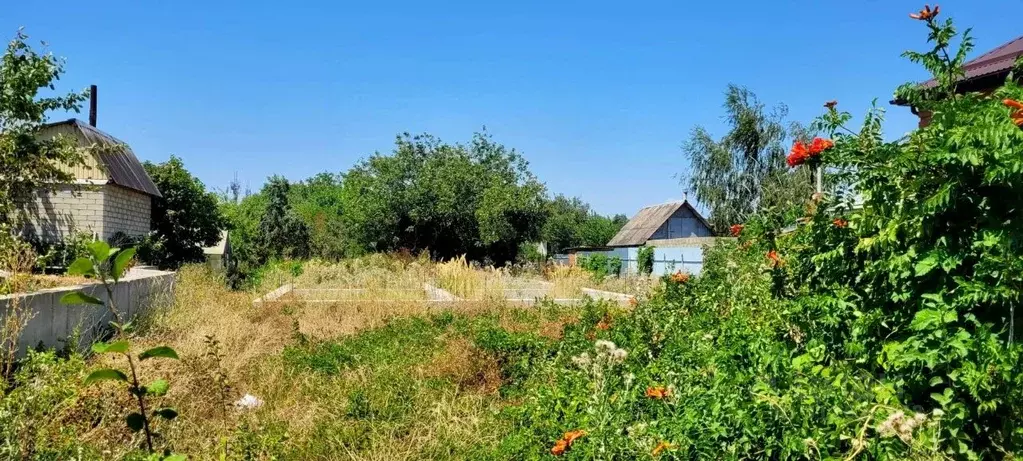 Участок в Краснодарский край, Северская ст-ца ул. Маяковского (10.0 ... - Фото 1