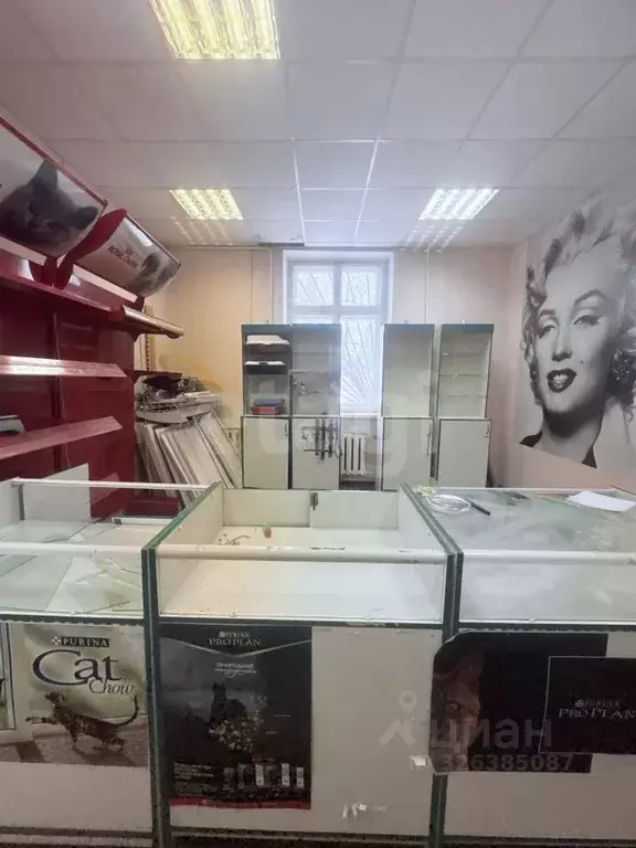 Помещение свободного назначения в Брянская область, Жуковка Лесная ... - Фото 2