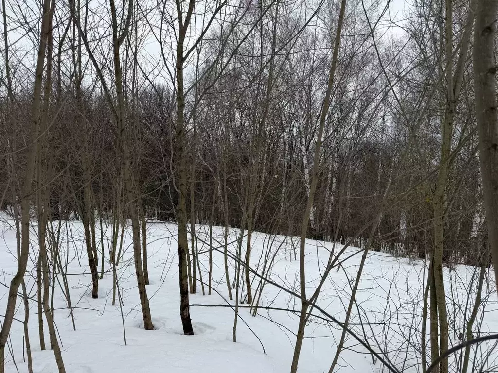 Участок в Московская область, Коломна городской округ, д. Смедово  ... - Фото 2