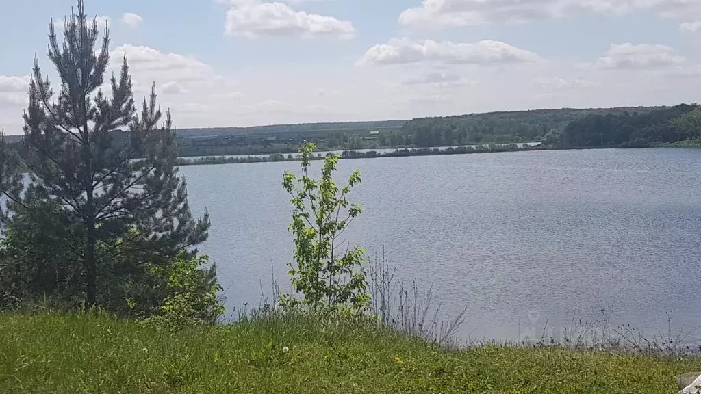 Участок в Московская область, Коломна городской округ, д. ... - Фото 2