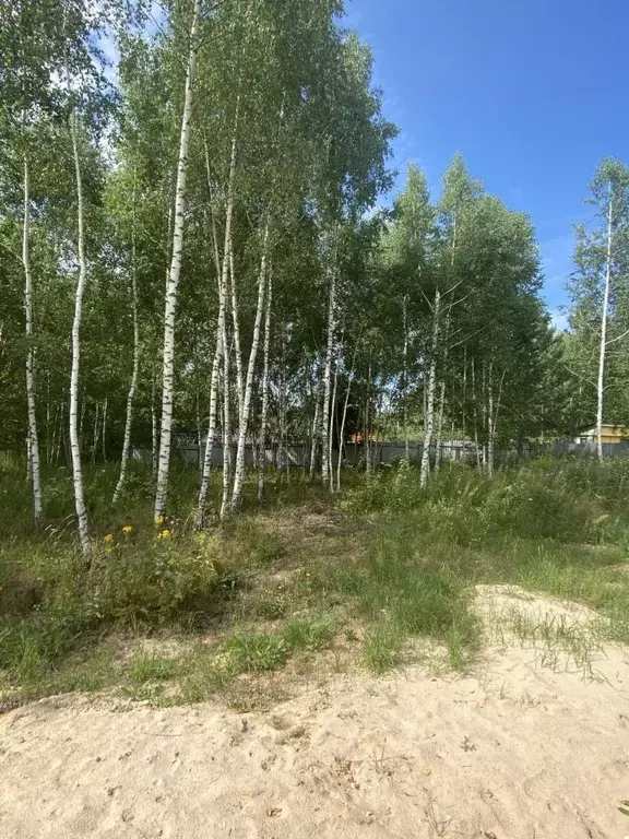 Дом в Нижегородская область, Кстовский муниципальный округ, д. Майдан ... - Фото 1