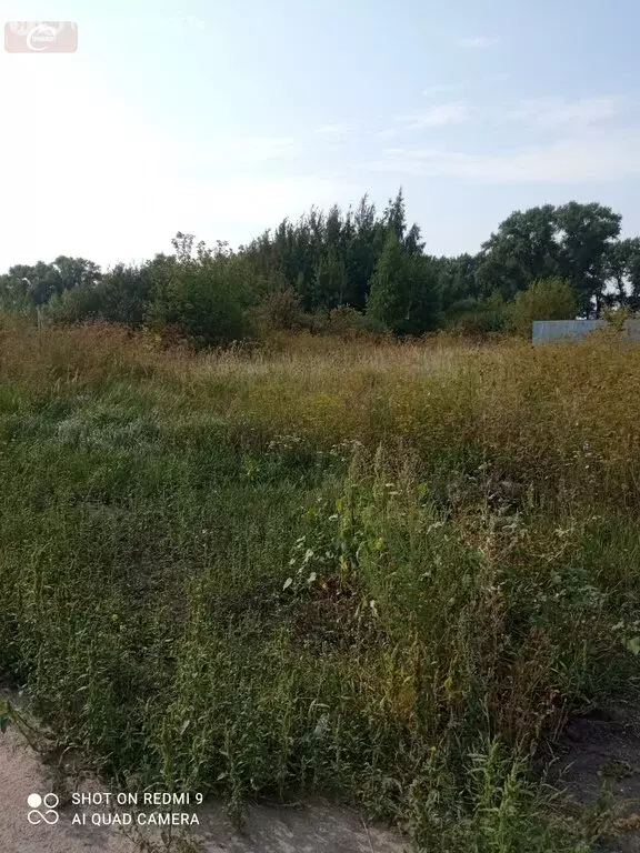 Участок в Воронежская область, село Новая Усмань (12 м) - Фото 0