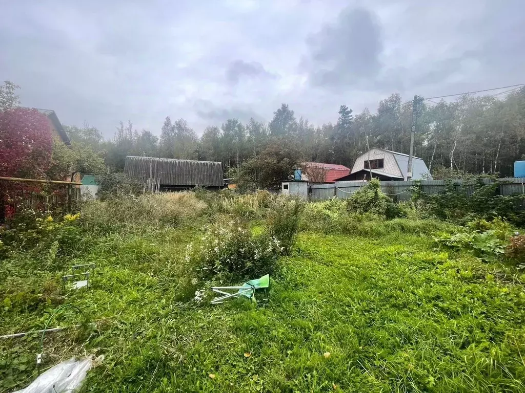 Участок в Московская область, Щелково городской округ, д. Ледово, ... - Фото 2