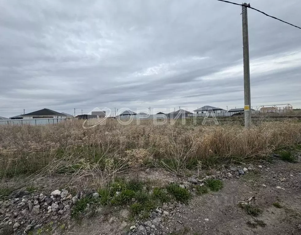 Участок в Тюменская область, Тюменский муниципальный округ, ... - Фото 1