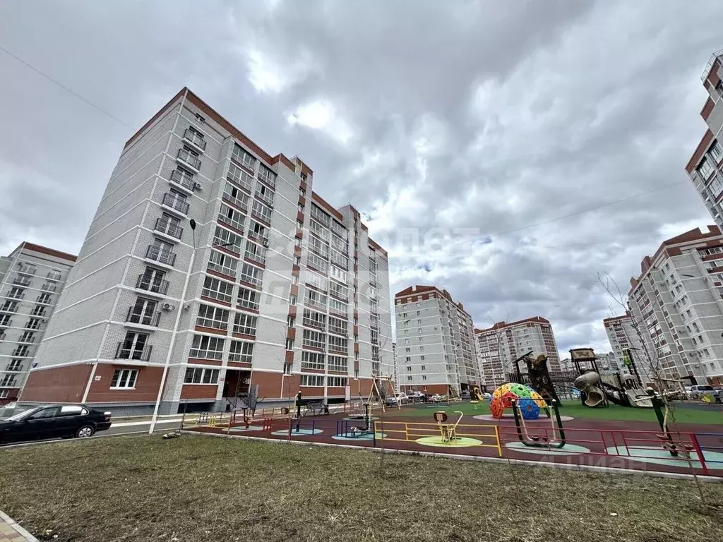 1-к кв. Амурская область, Благовещенский район, с. Чигири ул. ... - Фото 2