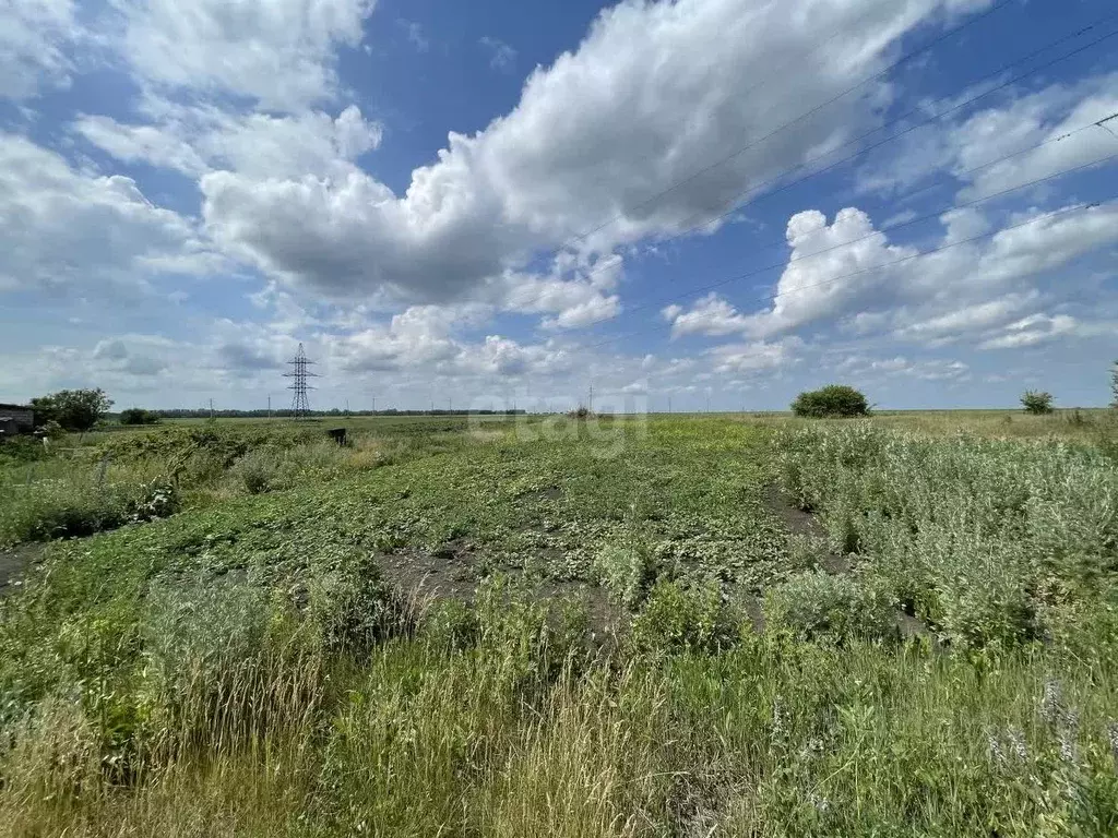 Участок в Тамбовская область, Тамбовский муниципальный округ, с. ... - Фото 1