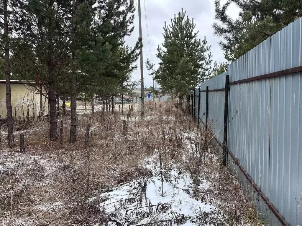 Участок в Свердловская область, Белоярский муниципальный округ, д. ... - Фото 1