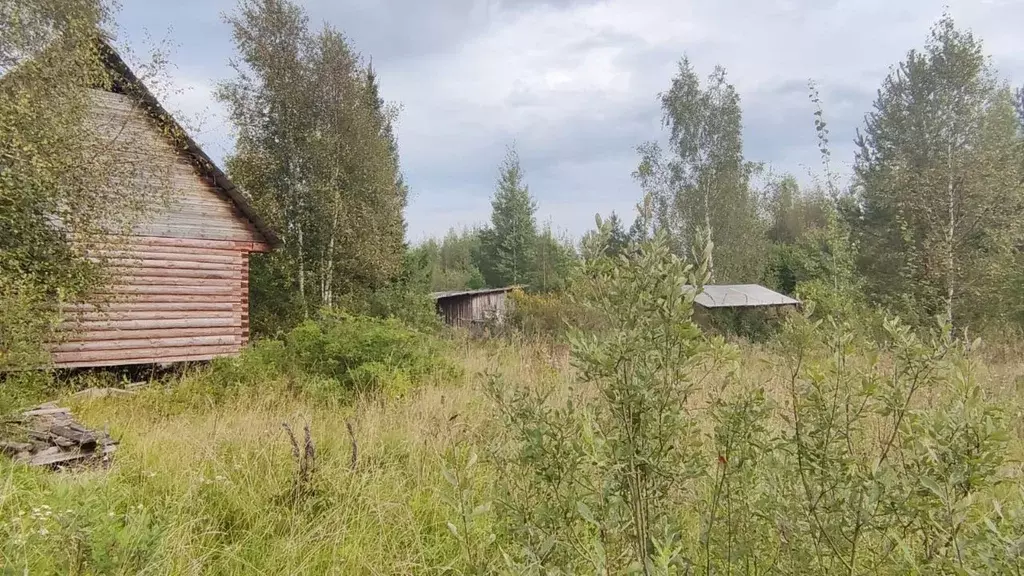 Дом в Новгородская область, Новгородский район, Савинское с/пос, ... - Фото 0