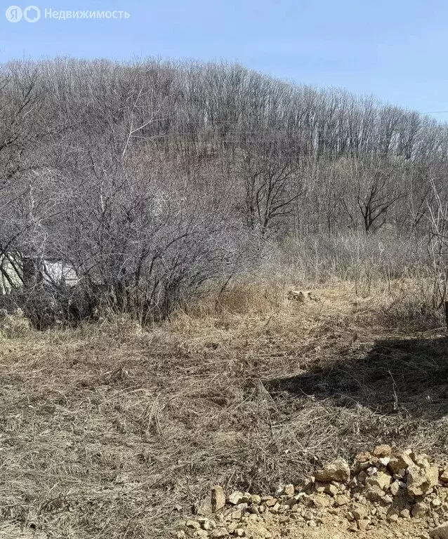 Участок в Приморский край, Яковлевский муниципальный округ, территория ... - Фото 2