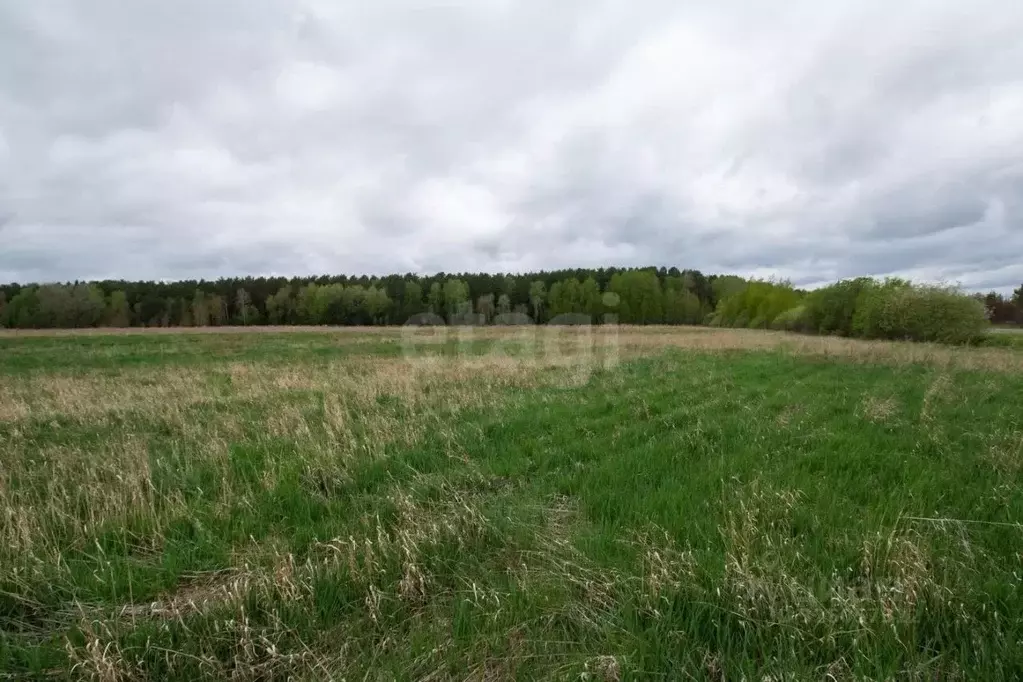 Участок в Тюменская область, Тюменский муниципальный округ, с. ... - Фото 1