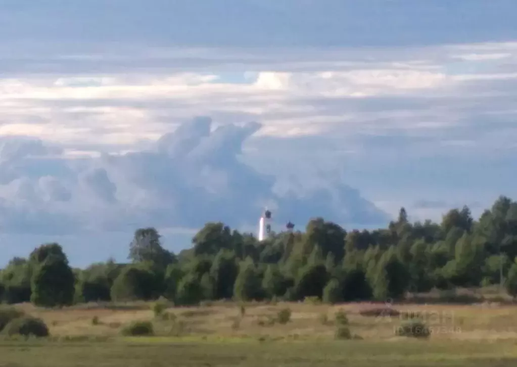 Участок в Владимирская область, Кольчугинский район, Ильинское ... - Фото 1