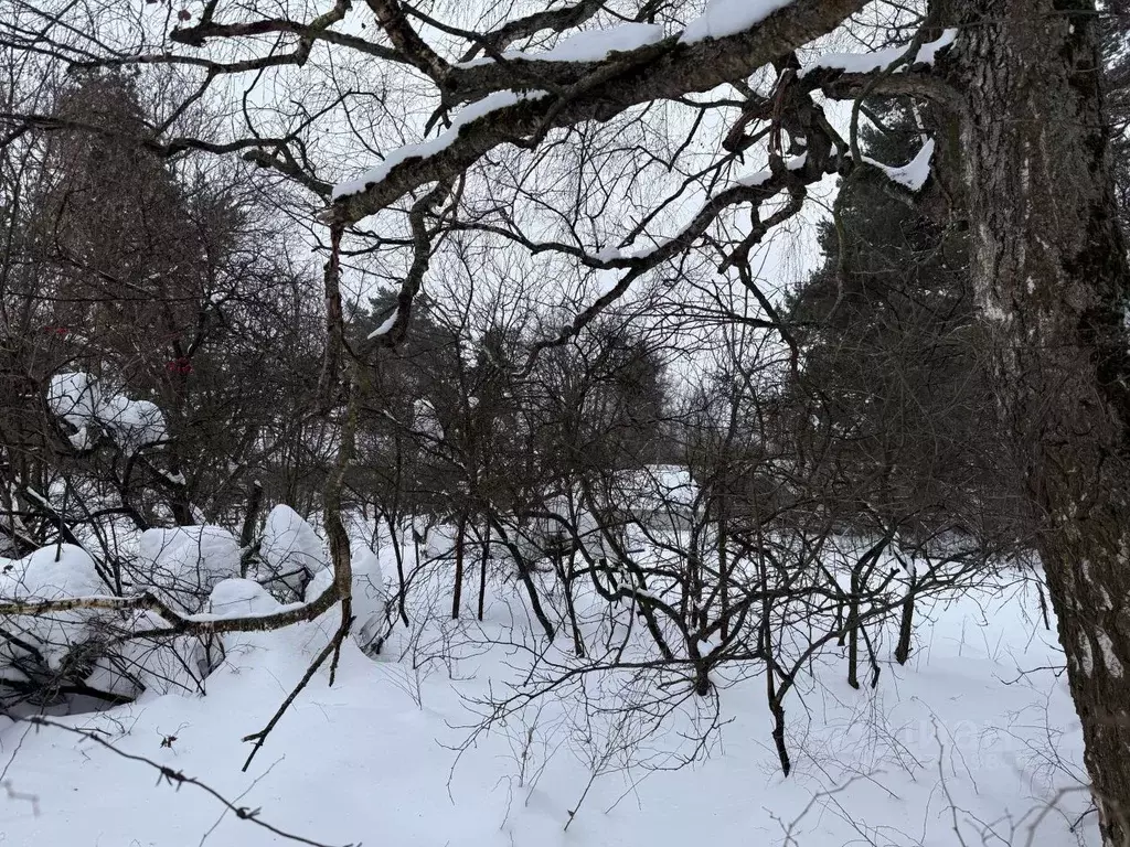 Участок в Московская область, Щелково городской округ, Загорянский пгт ... - Фото 1
