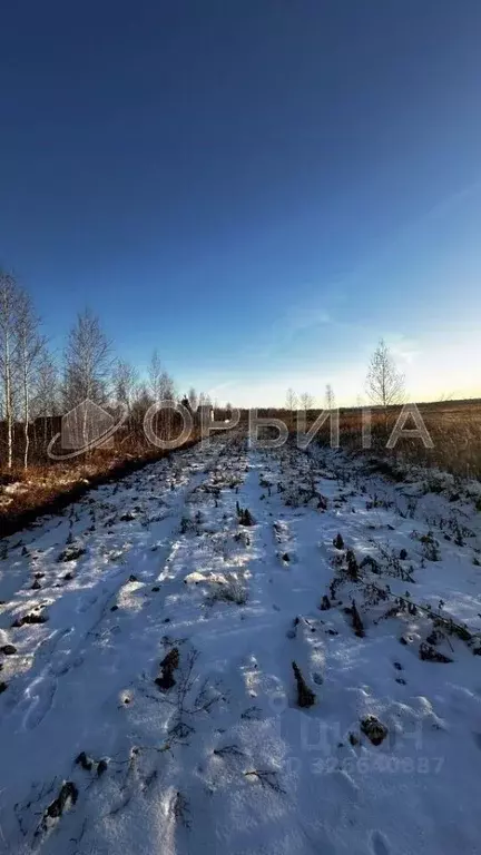 Участок в Тюменская область, Тюменский муниципальный округ, ... - Фото 2