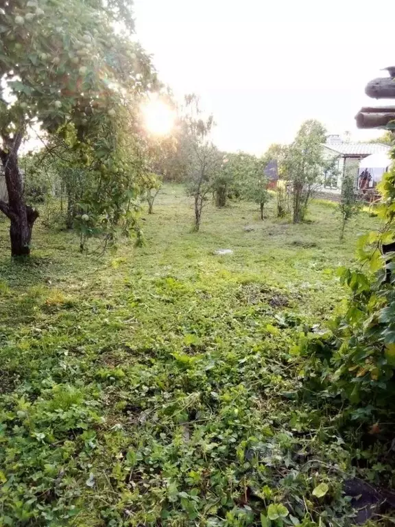 Участок 8,5 сот. (ИЖС) - Фото 1