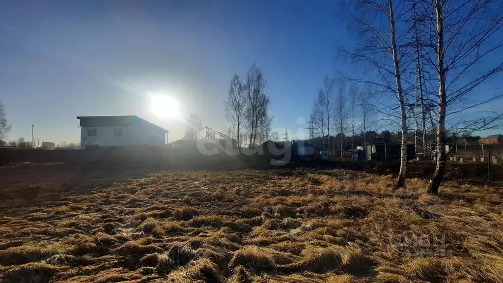 Участок в Московская область, Пушкинский городской округ, пос. Лесные ... - Фото 1