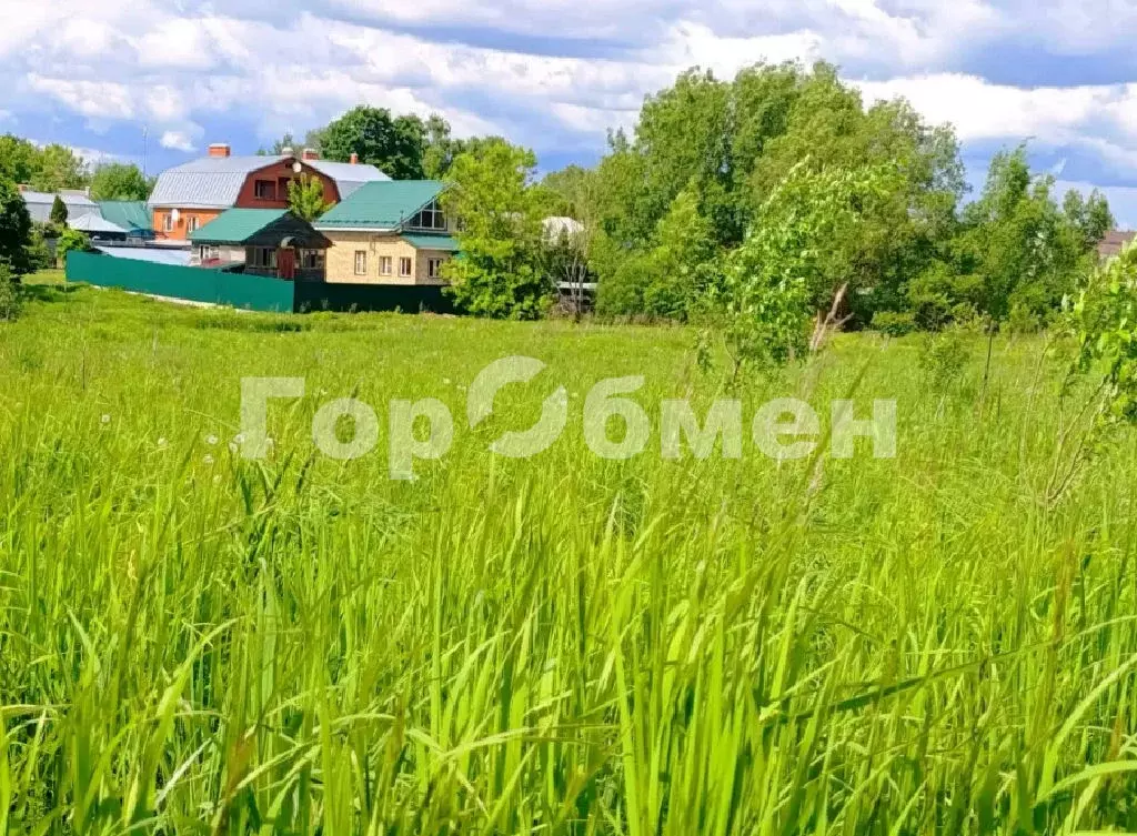 Продается участок в д. Меткомелино - Фото 2