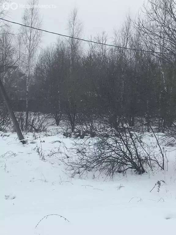 Участок в Нижегородская область, Богородский муниципальный округ, ... - Фото 1