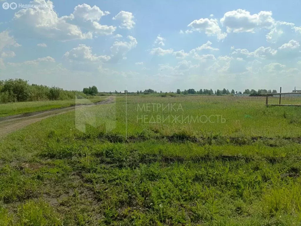 Участок в Тюменский муниципальный округ, село Ембаево (10 м) - Фото 1