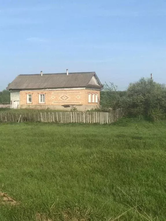 Дом в Пензенская область, Лунинский район, с. Лесной Вьяс ул. ... - Фото 1