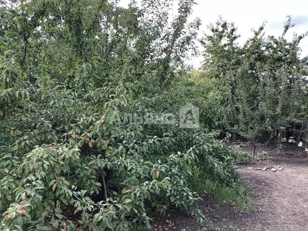 Дом в Ростовская область, Шахты просп. Красной Армии (42 м) - Фото 2