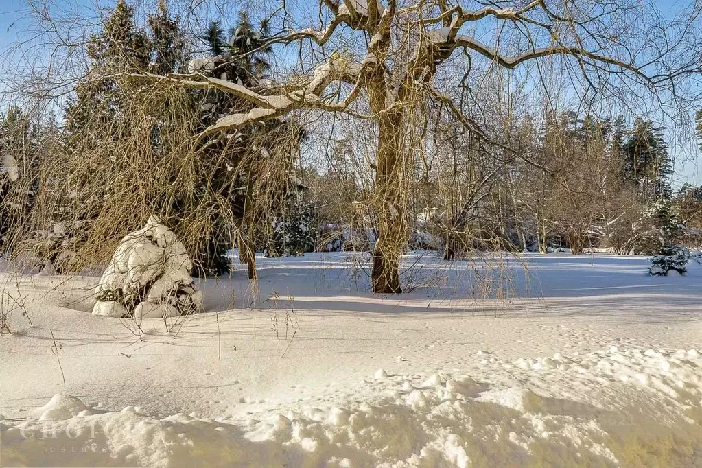 Участок в Московская область, Одинцовский городской округ, д. Бородки, ... - Фото 1