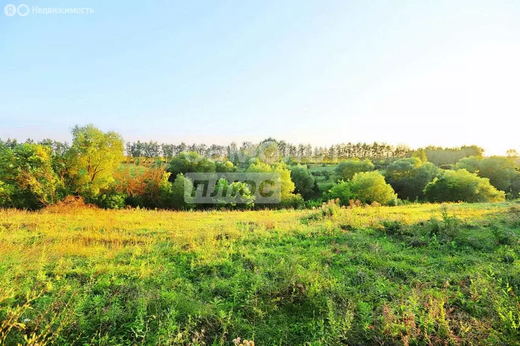 Участок в Липецк, микрорайон Жёлтые Пески (11 м) - Фото 1