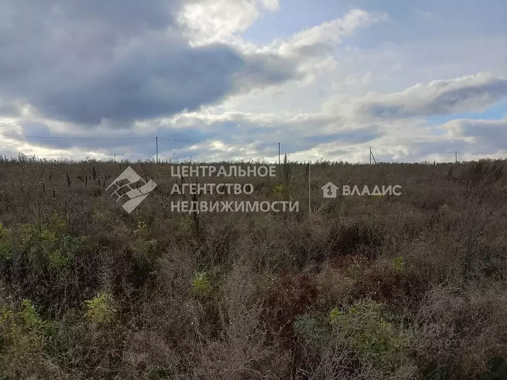 Участок в Рязанская область, Рязанский район, Вышгородское с/пос, с. ... - Фото 2