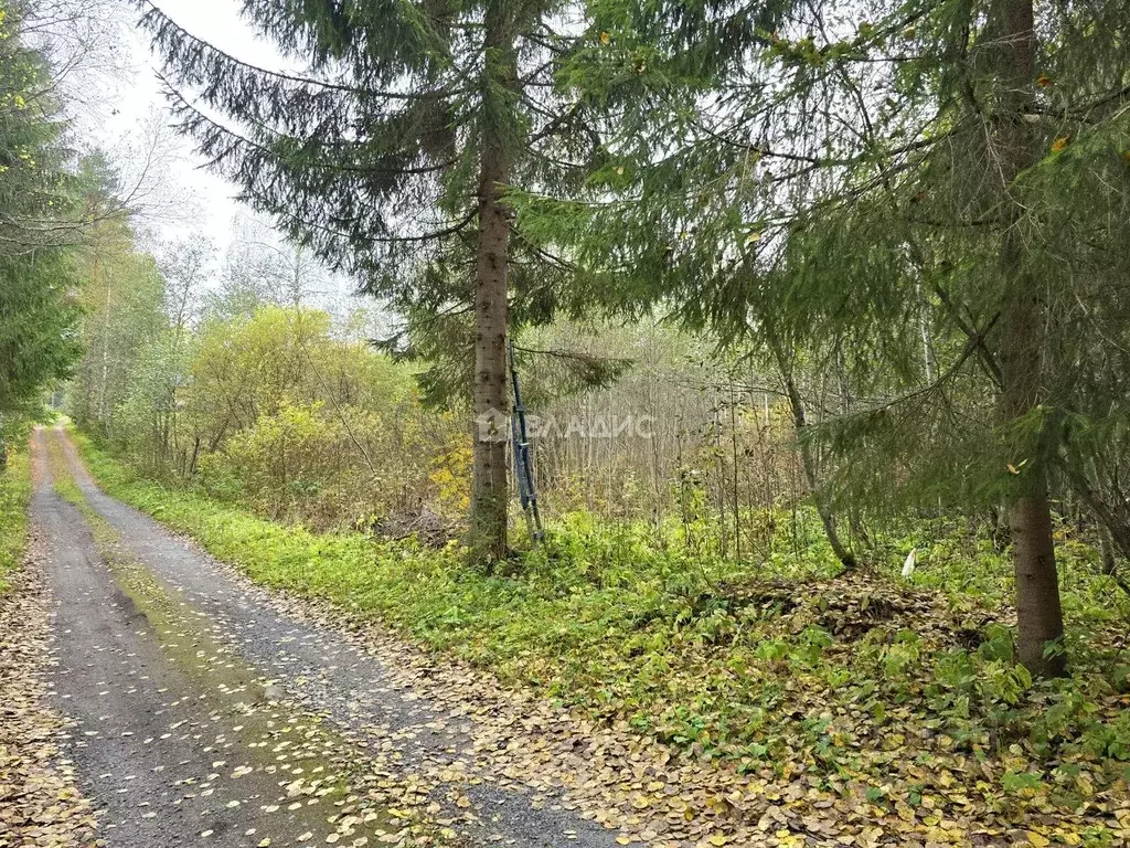 Участок в Карелия, Сортавальский муниципальный округ, пос. Рускеала ... - Фото 1