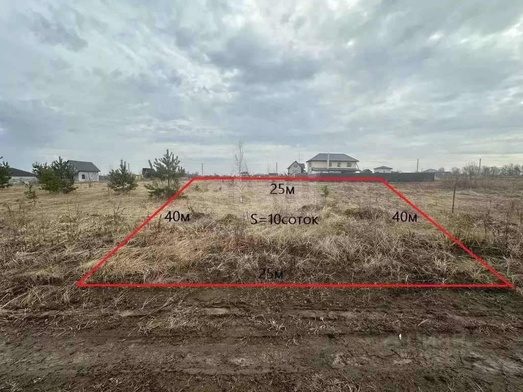 Участок в Брянская область, Брянский район, Отрадненское с/пос, с. ... - Фото 2