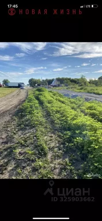 Участок в Самарская область, Волжский район, Смышляевка городское ... - Фото 1