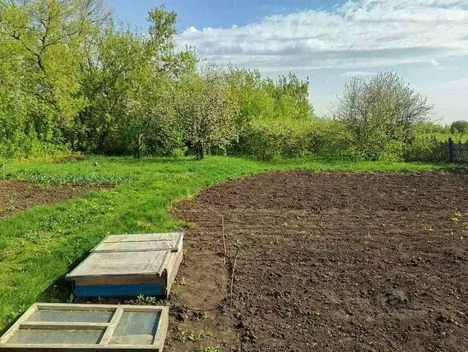 Дом в Самарская область, Богатовский район, Арзамасцевка с/пос, с. ... - Фото 2