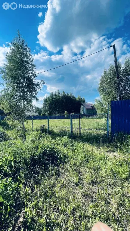 Участок в Московская область, Раменский муниципальный округ, село ... - Фото 1
