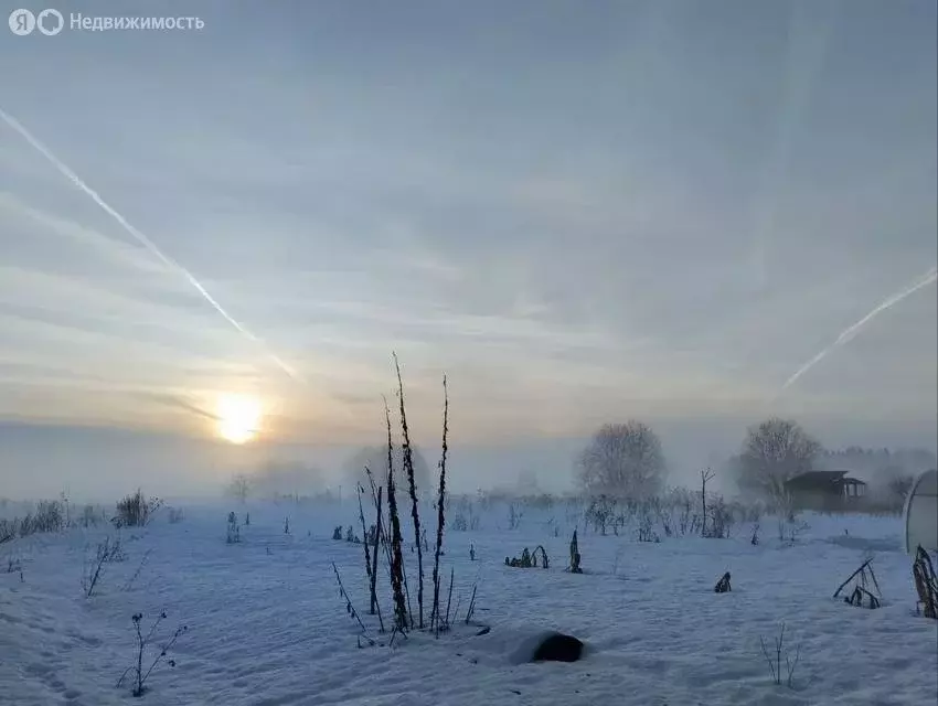 Участок в Рабитицкое сельское поселение, деревня Озертицы (20 м) - Фото 0