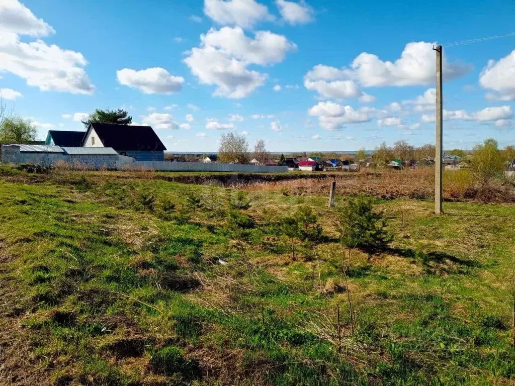 Участок в Костромская область, Нерехтский район, Воскресенское с/пос, ... - Фото 1