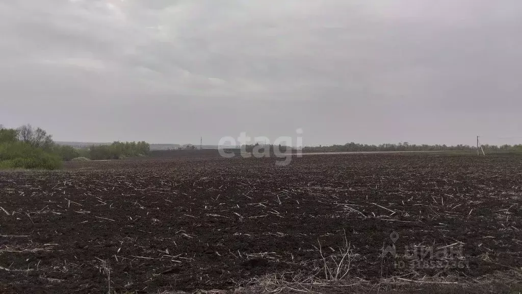 Участок в Белгородская область, Белгородский район, Дубовское с/пос, ... - Фото 0