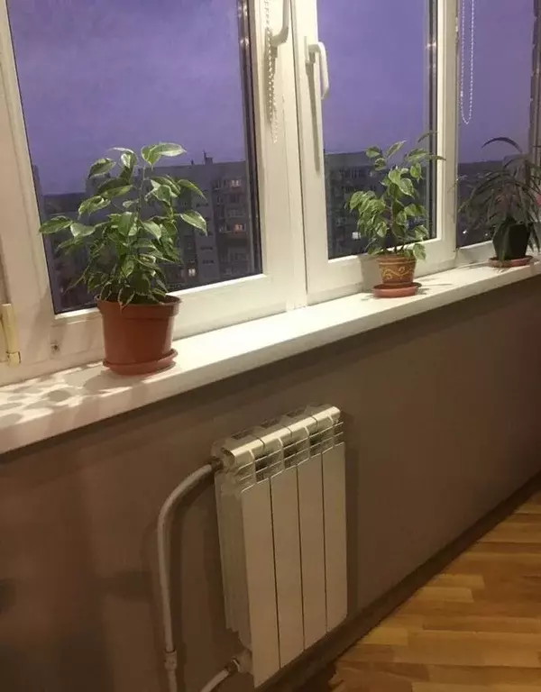 3-к кв. Новгородская область, Великий Новгород ул. Зелинского, 50к1 ... - Фото 1