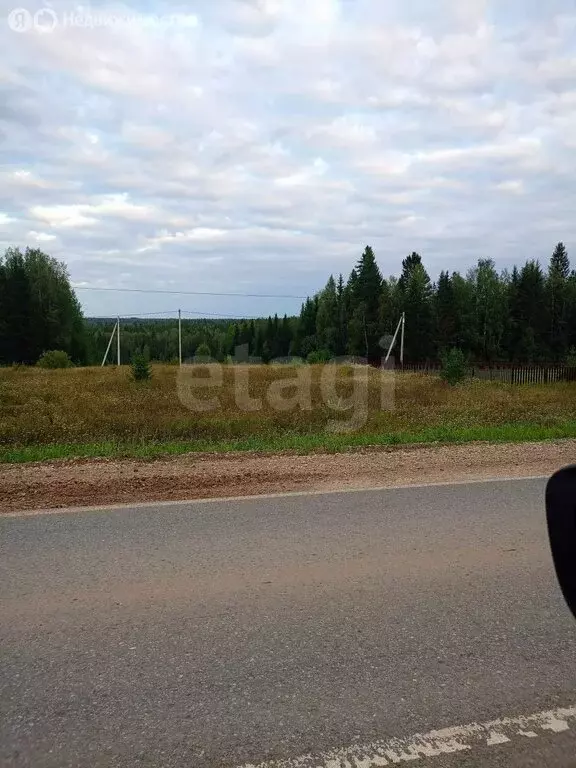 Участок в Пермский край, Чернушинский муниципальный округ, село ... - Фото 1