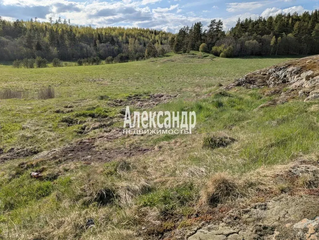 Участок в Карелия, Лахденпохский муниципальный округ, пос. Ласанен  ... - Фото 1