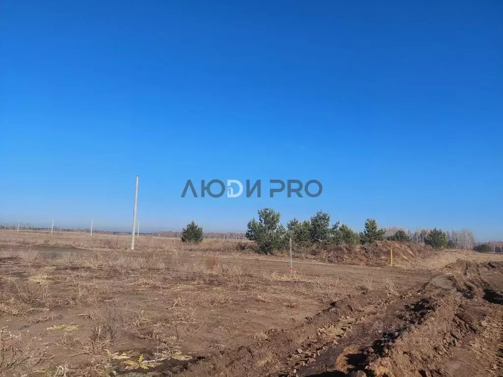 Участок в Алтайский край, Первомайский район, с. Фирсово Палитра жилой ... - Фото 1