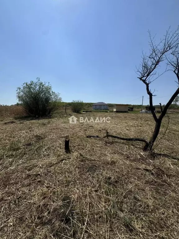Участок в Приморский край, Уссурийск Радужный мкр, ул. Солнечная, 49 ... - Фото 1