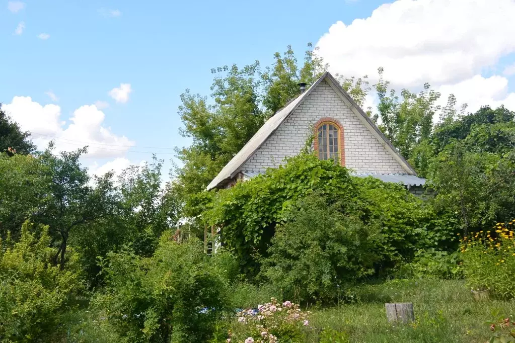 Дом в Воронежская область, Новоусманский район, Раздолье СНТ ул. ... - Фото 0