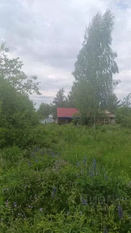 Дом в Нижегородская область, Богородский муниципальный округ, Озерное ... - Фото 1