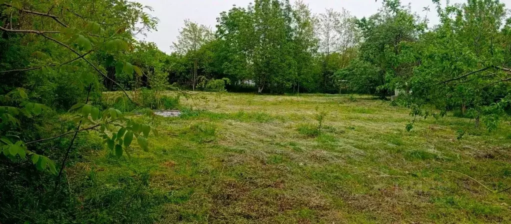 Участок в Краснодарский край, Северский район, Львовское с/пос, с. ... - Фото 2