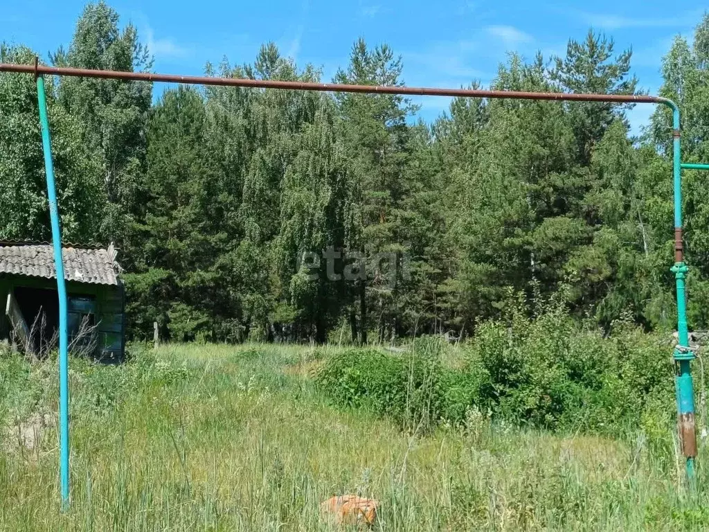 Участок в Тамбовская область, Тамбовский муниципальный округ, с. ... - Фото 0