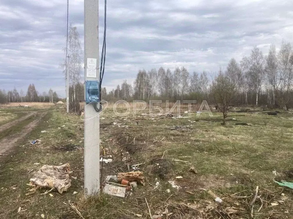 Участок в Тюменская область, Тюмень Большое Царево-2 СНТ, ул. Чистая ... - Фото 2