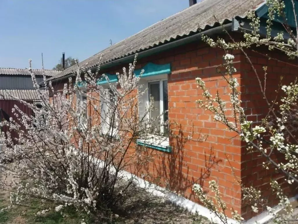 Дом в Приморский край, Партизанский муниципальный округ, с. ... - Фото 1