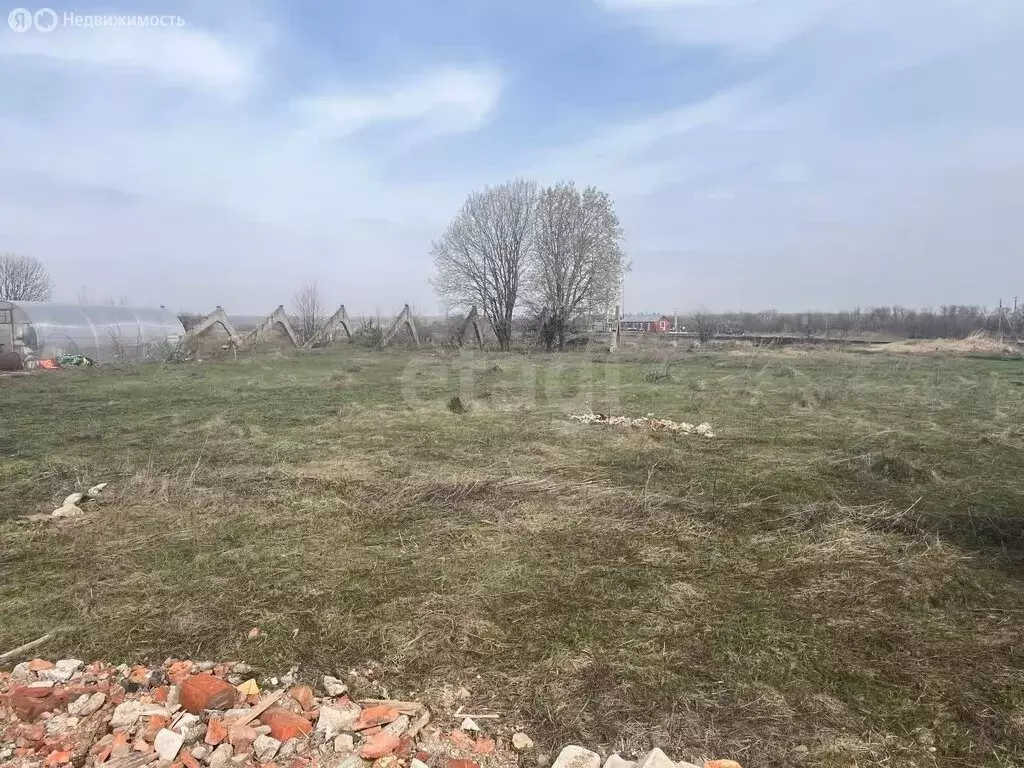 Участок в Лямбирский район, село Берсеневка (6.9 м) - Фото 1